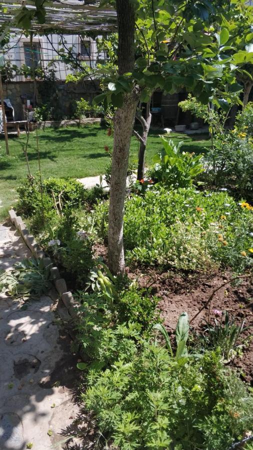 Apart Turgutreis Exterior foto