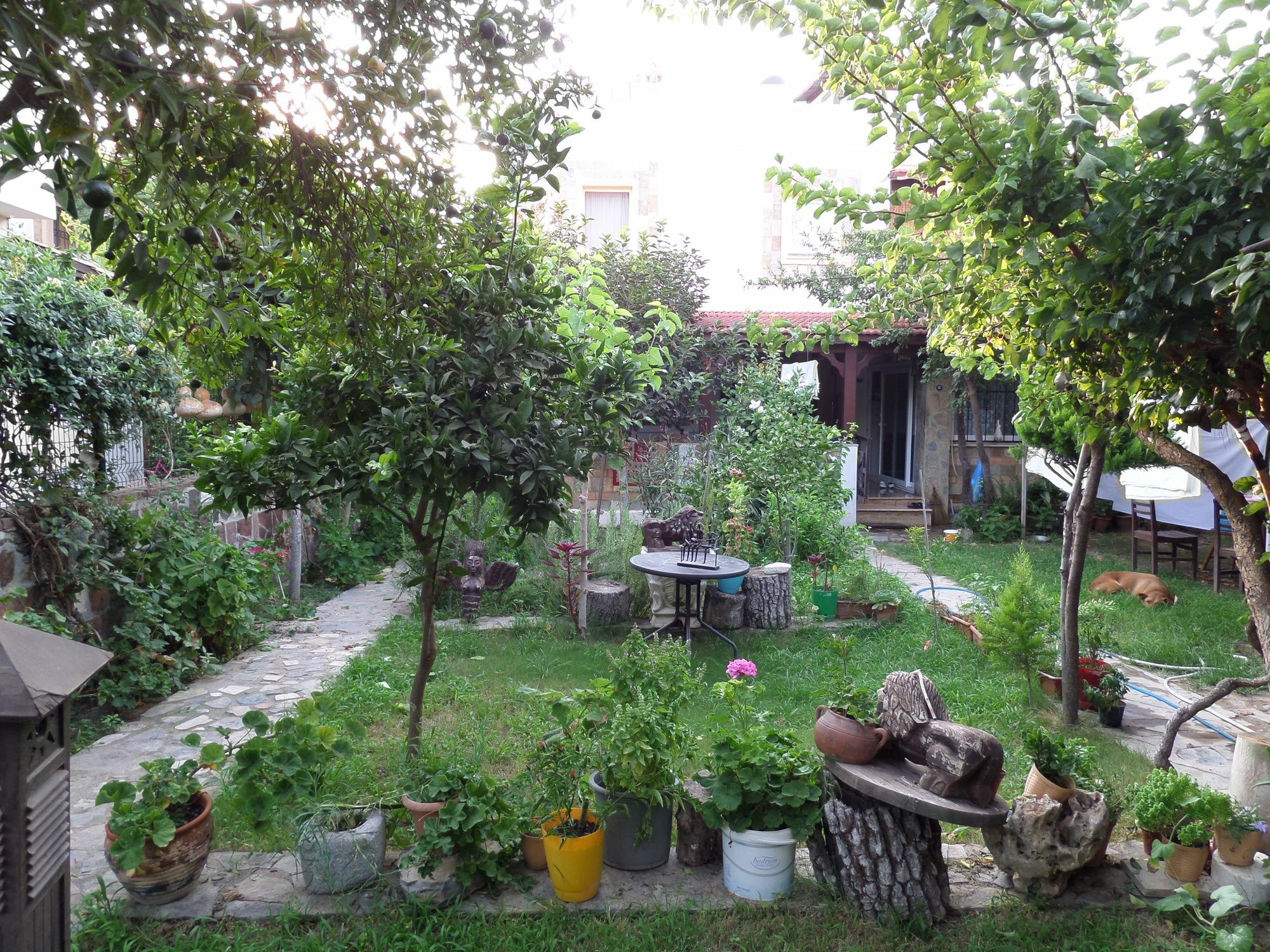 Apart Turgutreis Exterior foto